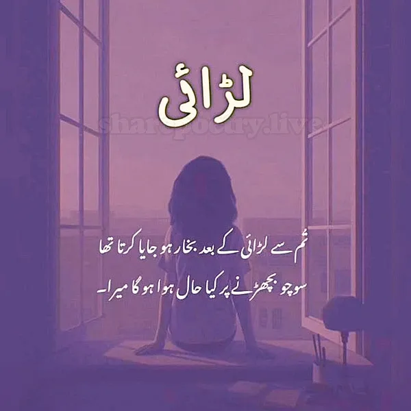 Sad Poetry in Urdu - 2024 Images Status