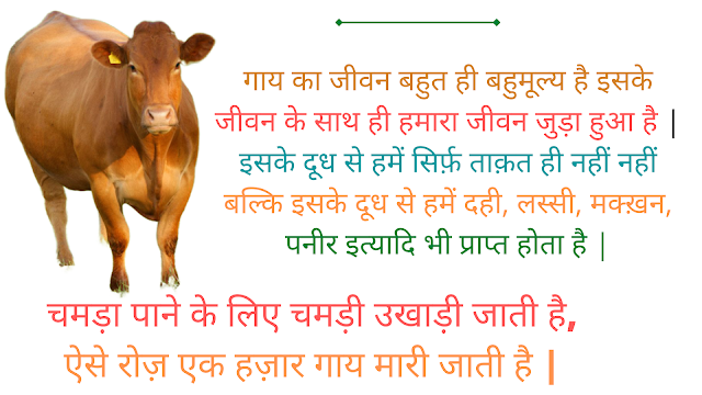हिंदी भाषा में गाय पर कविता।