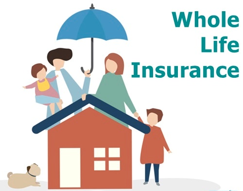 Whole Life Insurance