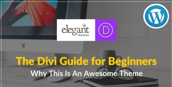 Why This Is A Great Theme: The Divi Beginner's Guide