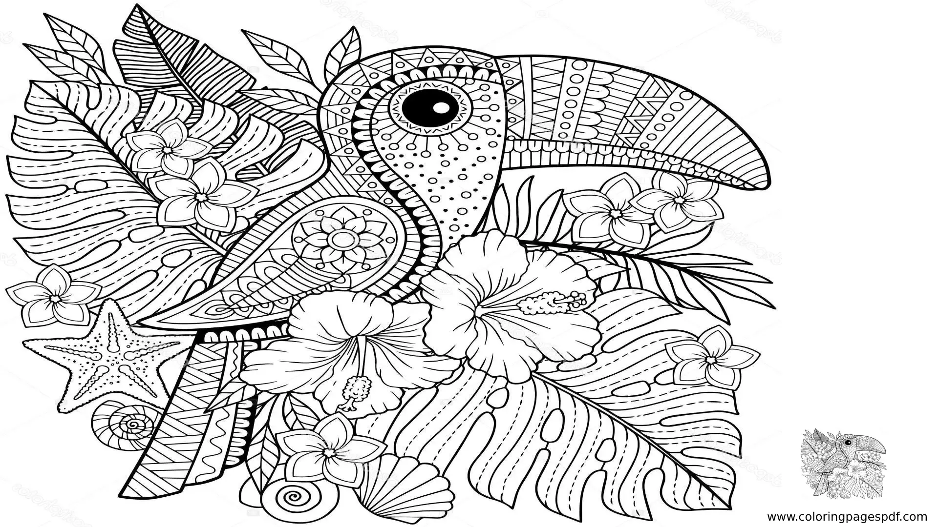 Coloring Pages Of A Toucan Bird Mandala