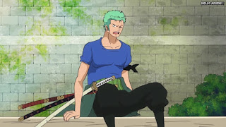 ワンピースアニメ ゾウ編 775話 ロロノア・ゾロ Roronoa Zoro  | ONE PIECE Episode 775