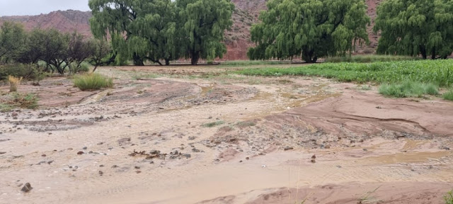 Das ablaufende Wasser zeigt dass die Landwirtschaft wohl starke Schäden zu beklagen hat.