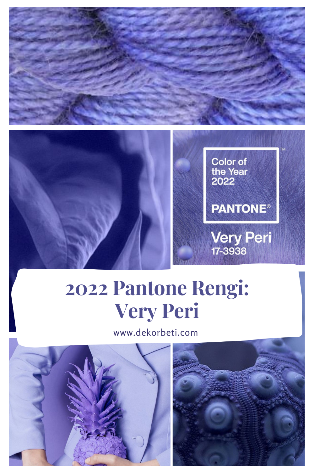 2022 pantone rengi