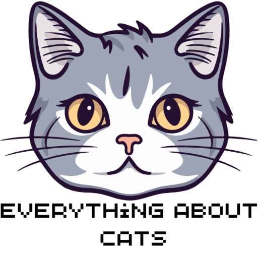 Everything about cats
