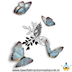 butterfly tattoo, butterfly tattoo designs, simple butterfly tattoo, small butterfly tattoo, butterfly tattoo on hand, hand butterfly tattoo, butterfly tattoo meaning, meaning of butterfly tattoo, small butterfly tattoo designs, butterfly tattoo image, blue butterfly tattoo, 3d butterfly tattoo, butterfly tattoo on wrist, butterfly tattoo on hand for girl, wrist butterfly tattoo designs, butterfly tattoo mehndi design, butterfly tattoo design, back butterfly tattoo designs, butterfly tattoo on back, butterfly tattoo on men, wrist butterfly tattoo, mens butterfly tattoo, butterfly tattoo on ankle, butterfly tattoo images, shoulder butterfly tattoo, butterfly tattoo small, leg butterfly tattoo, unique butterfly tattoo, back butterfly tattoo, butterfly tattoo drawing, butterfly tattoo on neck, flower with butterfly tattoo, harry styles butterfly tattoo, simple small butterfly tattoo, butterfly tattoo simple,