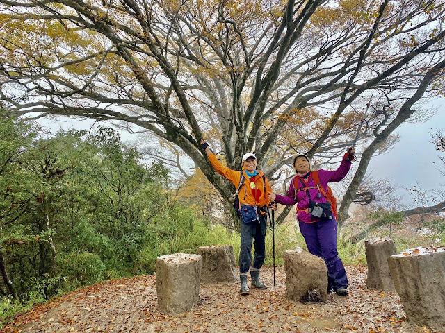 太平山山毛櫸步道