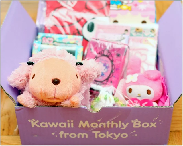 Top Kawaii Subscription Box Australia