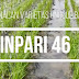 Varietas Padi GSR Tadah Hujan - Inpari 46