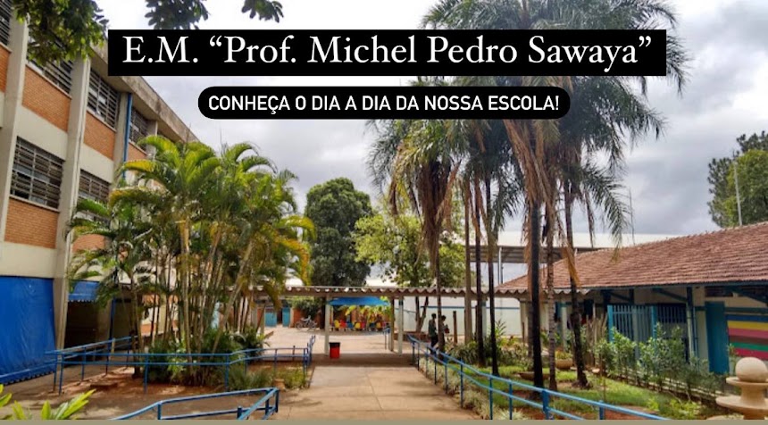 E.M. "Prof. Michel Pedro Sawaya"