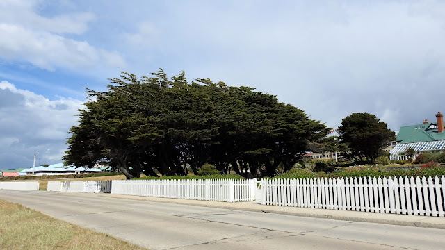 Ross Rd