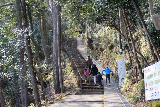 山登り