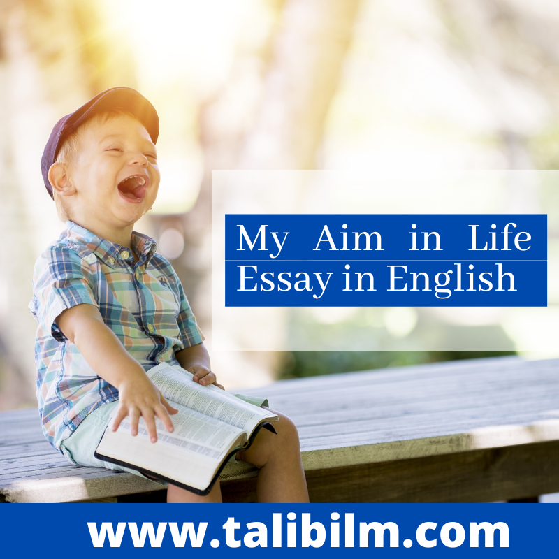 My Aim in Life Essay in English