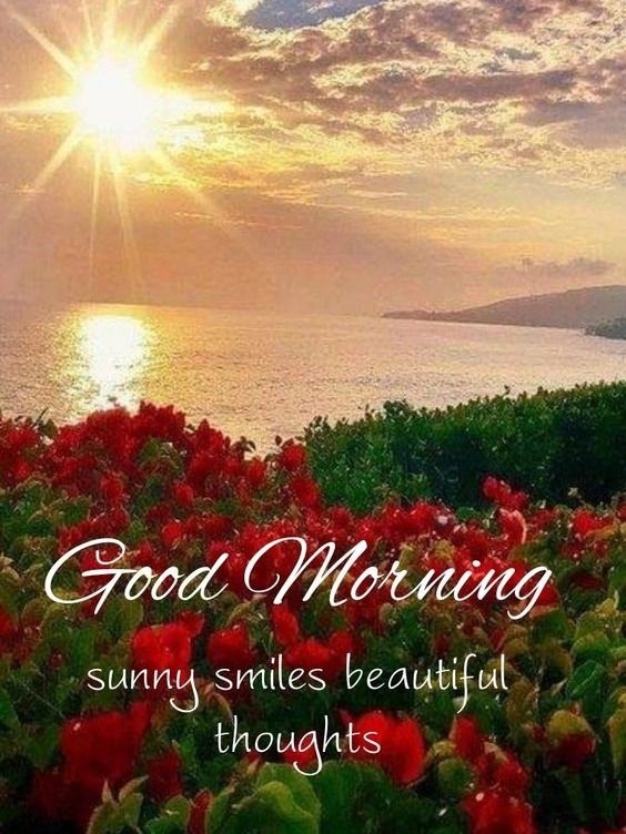 good morning photo of krishna, good morning photo tamilbajrangbali, good morning photo, good morning photo bhejo, good morning photo and video