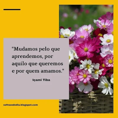 Frase do Dia - 29 de Outubro - Içami Tiba