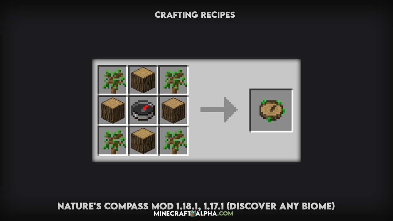 Nature's Compass Mod 1.18.1, 1.17.1 (Discover Any Biome)