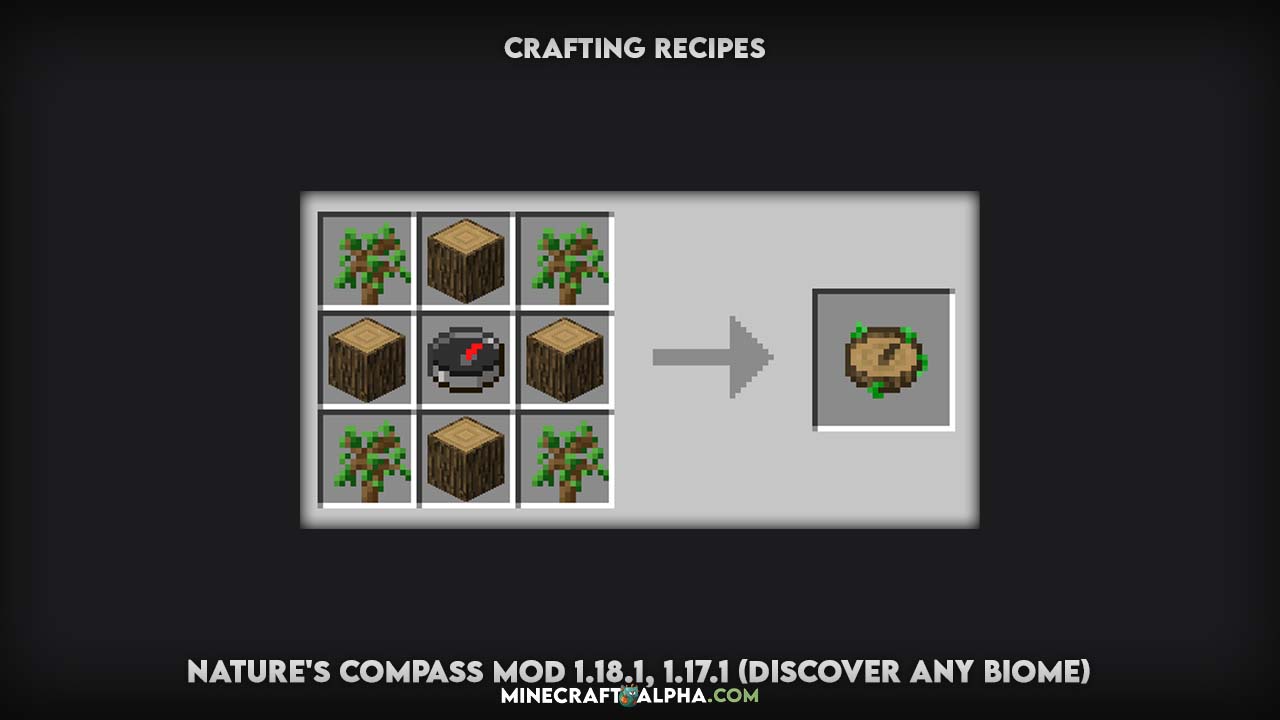 Minecraft Nature's Compass Mod Crafting Recipes For 1.18.1, 1.17.1 (Discover Any Biome) Nature's Compass Mod 1.18.1, 1.17.1 (Discover Any Biome)