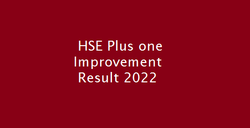 HSE Plus one Improvement Result 2022