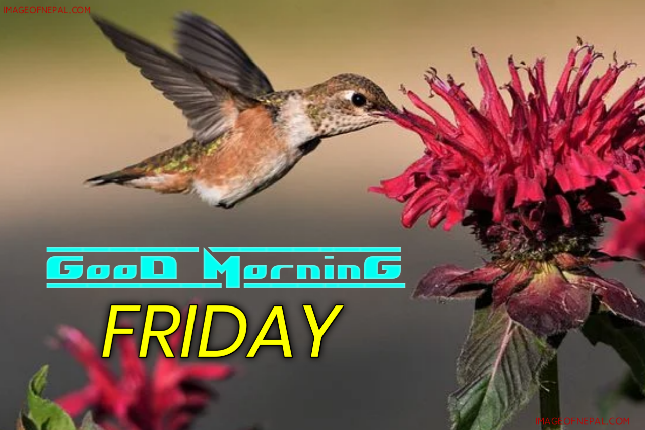 good morning Friday images
