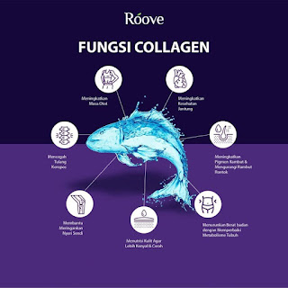 roove beauty collagen drink