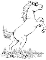 Horse standing on two legs coloring page