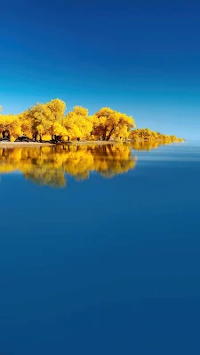 Lago e Árvores Wallpaper Para iPhone