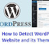 How To Detect WordPress Website Theme & Plugin For Free
