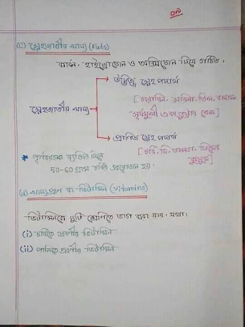 SSC Biology Chapter 5 Hand Note