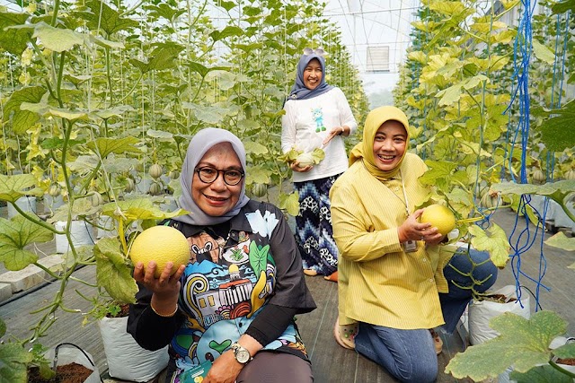 Sekda Kunjungi Potensi  Bogor Utara, Melon Made Fresh Datangkan Wisatawan