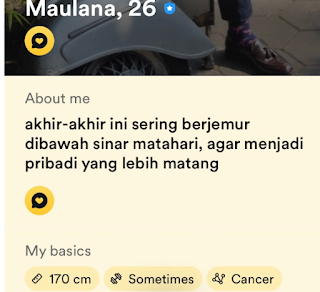 Kumpulan Bio Bumble About Me Lucu