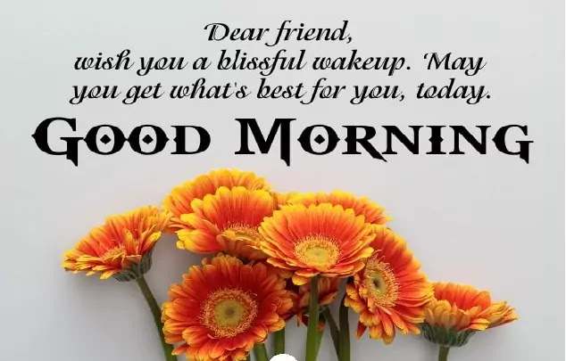 Heart Touching Good Morning Messages for Friends