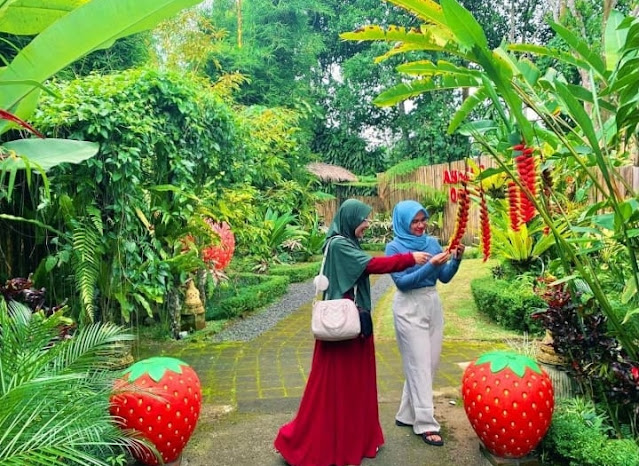 Ayodya Oemah Strwberry Bali Daya Tariki