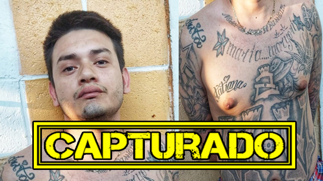 El Salvador: Capturan a alias «La Osa», criminal de la Mara Máquina fue sorprendido en Apopa