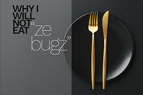 Why I Will Not Eat "Ze Bugz"...