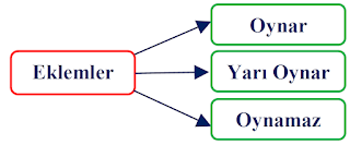 Oynar Eklem, Yarı Oynar Eklem, Oynamaz Eklem