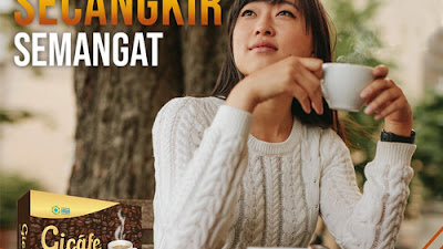 Gicafe minuman sehat pria dewasa