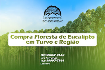Madeireira Schornobay de Turvo compra floresta de Eucalipto