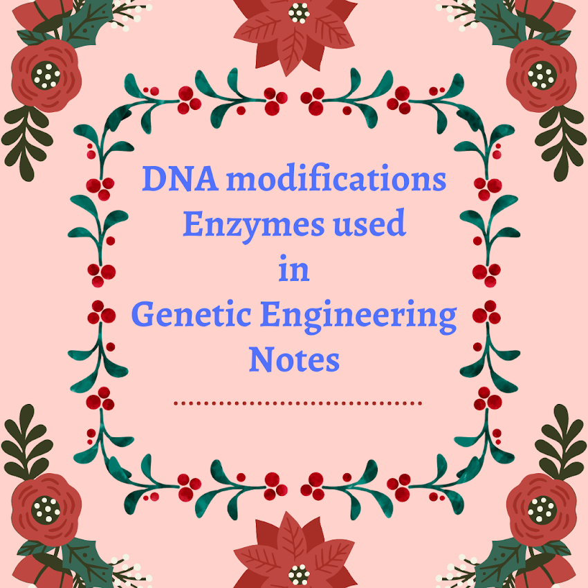 DNA Modification Enzymes Used in Genetic Engineering