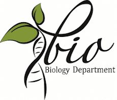 Energetic Biology