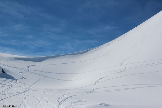 Betrachtet man die zwei von rechts kommenden Skispuren so lässt sich erkennen. Sonnseitig Firn, schattseitig "Pulver". (Foto: 08.03.2022)