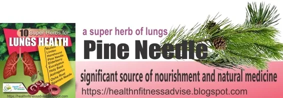 Pine-Needle-for-lungs-healthnfitnessadvise-blogspot-com