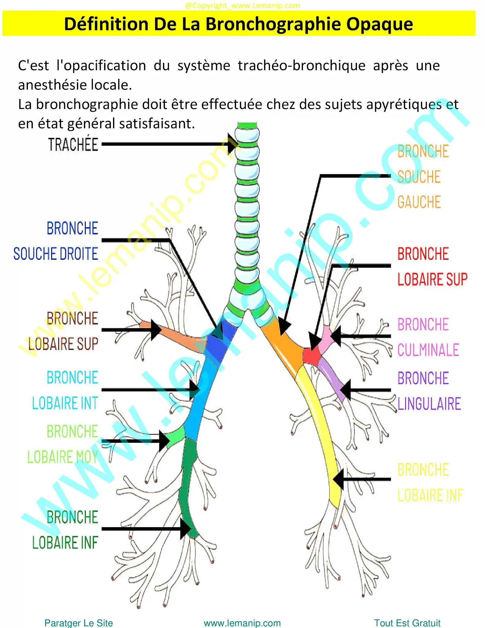 bronchoalveolar ca,lung lavage for copd,whole lung lavage,lung lavage,opdivo lung,restrictive airway disease,small airway disease,inflated lungs,hyperexpanded lungs,enlarged lungs