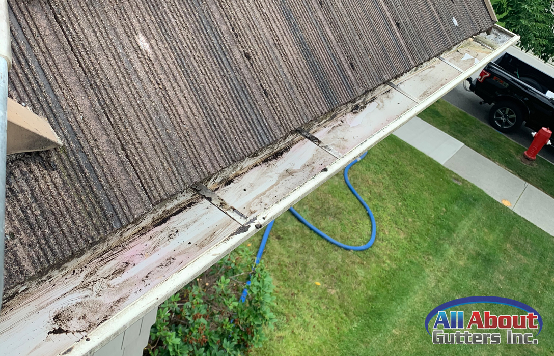 Gutter Cleaning