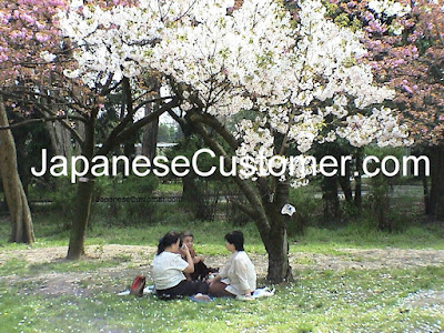 japanese customers celebrating hanami #japanesecustomer