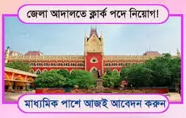 www.getjobs.org.in/2024/12/district-court-clerk-offline-form-2024.html