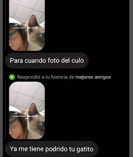 Humor de Facebook : Basta de fotos del gato