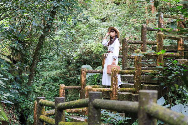 嘉義梅山仙人堀步道秘境，杉林木棧道輕鬆散步聽蟲鳴鳥叫水流聲