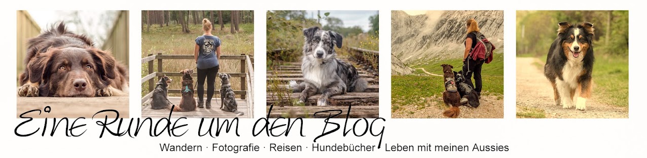 Eine Runde um den Blog - Hundeblog übers Wandern, Reisen und unser Leben mit Hund