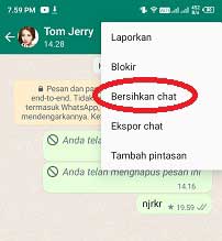 bersihkan chat whatsapp artinya