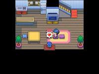 Pokemon Following Platinum Screenshot 01